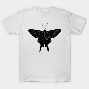 The Black Butterfly T-Shirt